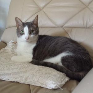 Meet your Posher, Candy